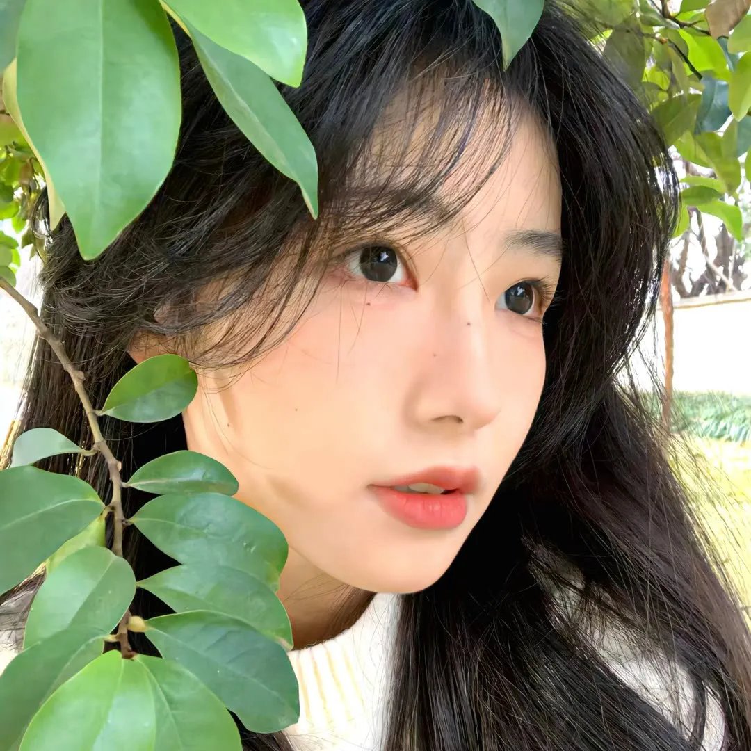 斑马头